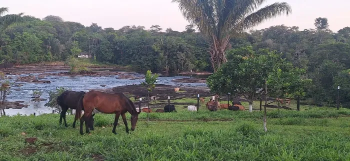 Vendo fazenda campos verde