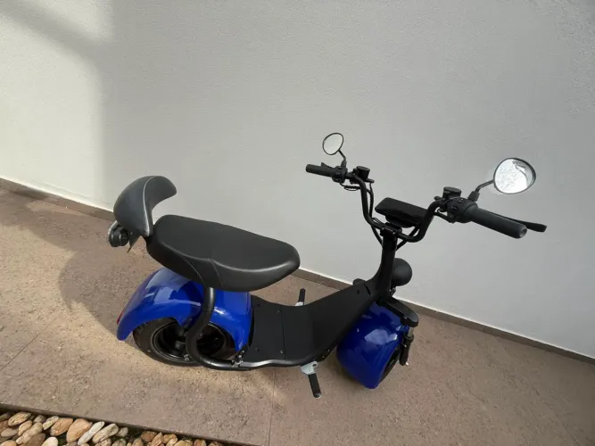 AUTOPROPELIDO 1000W
