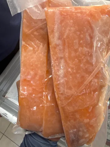 Salmão congelado muito novo