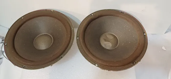 Par de woofer alto falantes de 10 polegadas da caixa lando modelo la3100 para reparos!