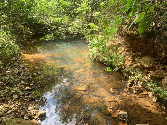 Terreno 24ha com agua, casa, criatório de peixe e muito mais, Jaboticatubas.