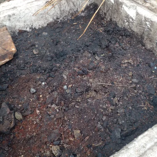 Adubo pronto para plantas