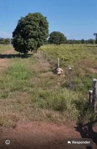 Vendo. Excelente fazenda no município de Conceição do Araguaia 