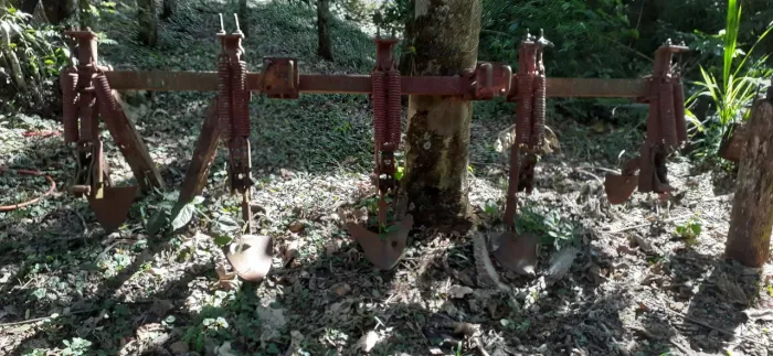Riscador e cultivador