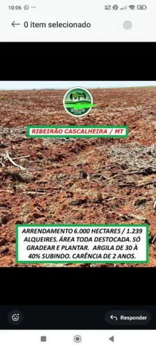 Fazenda arrenda 6.000hec em Ribeirão da cascalheira MT.