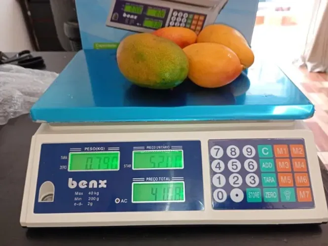 Balança Digital Comercial Até 40kg Alta Precisão Bivolt Bra Branco