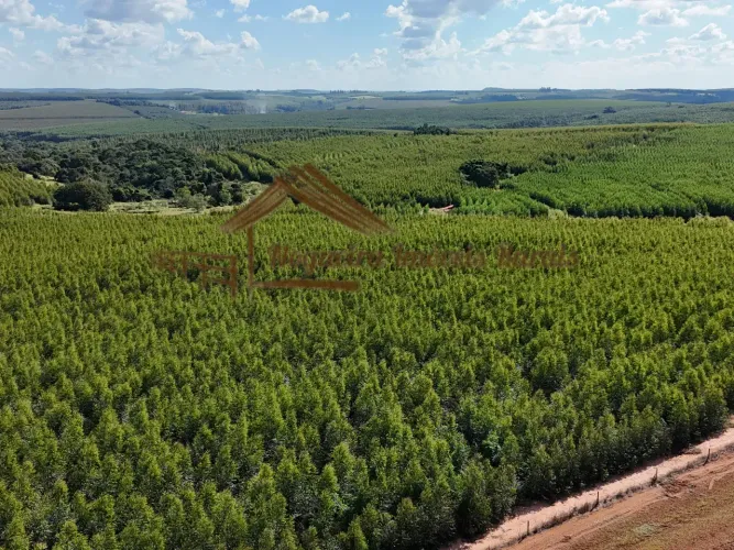 Fazenda à venda com 70 alqueires na região de Bauru-SP