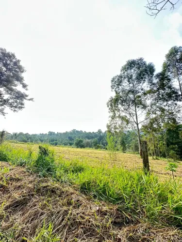 Residencial de Chácaras em Mairinque Terrenos Amplos e Região em Crescimento