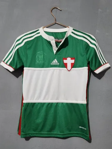 Camiseta Palmeiras Centenária 2014 Infantil 
