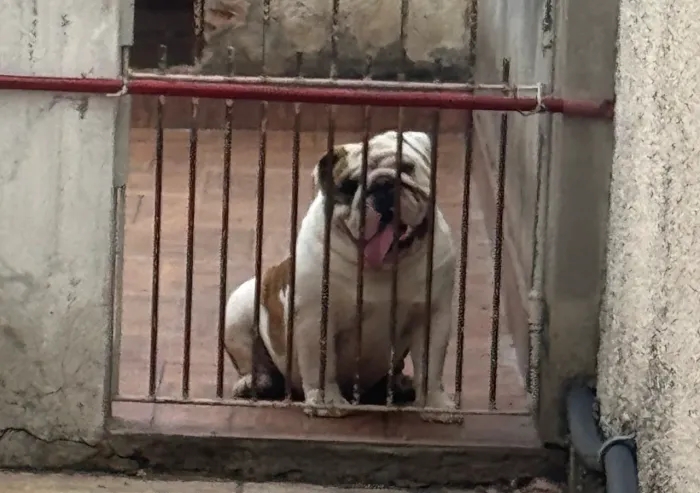Doação para companhia