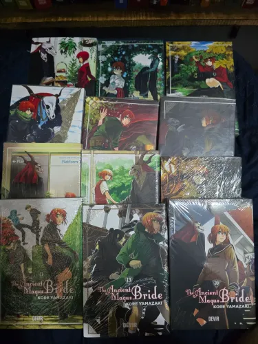 Coleção ancient magus bride 1 ao 14(falta o  7 e 12)