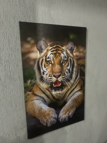 Quadro decorativo