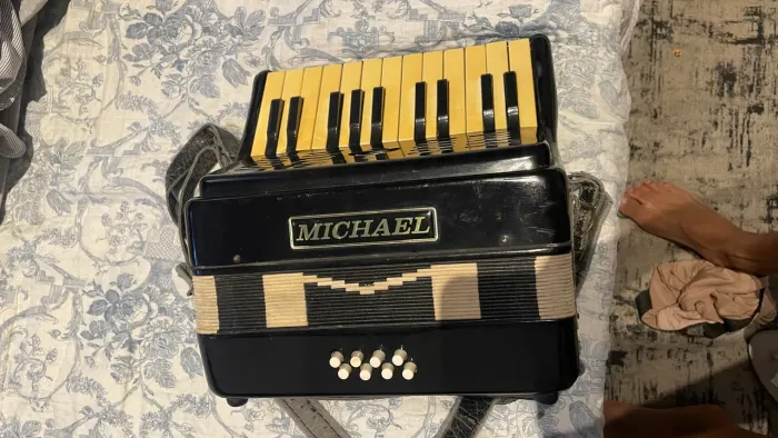 Sanfona, acordeon 8 baixos