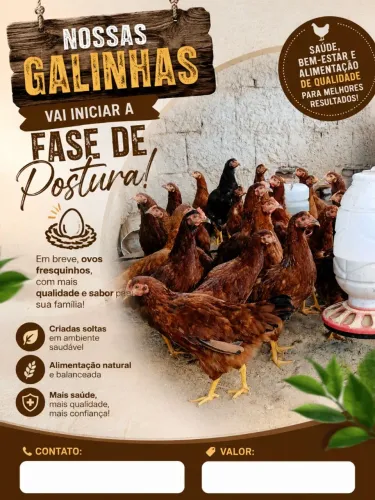 Galinha embra 51 & caipira pesadão