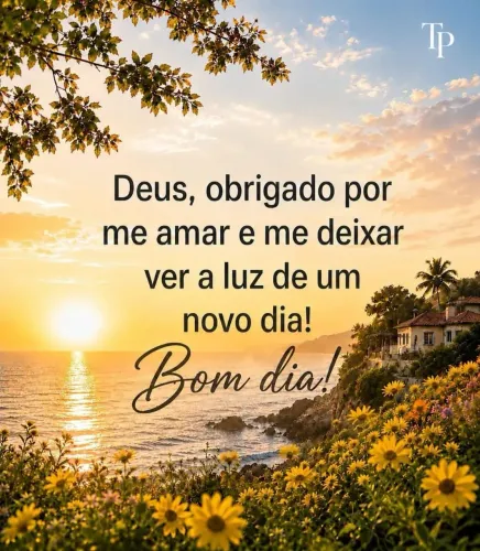 Algum apartamento pra alugar aqui no Rio novo q seja embaixo