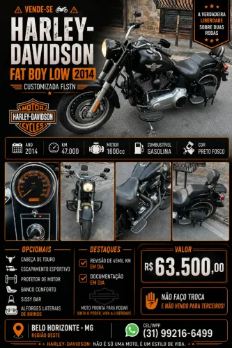 HARLEY-DAVIDSON FAT BOY LOW 2014