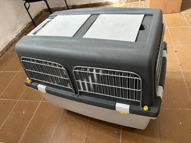 Casa de transporte de cachorro 