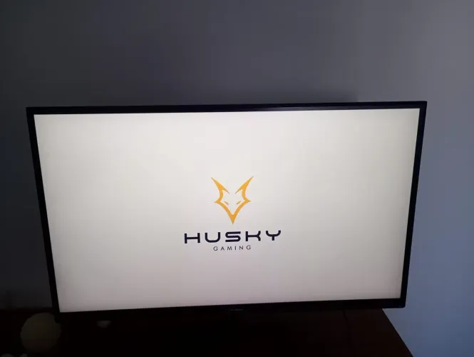 Monitor Gamer