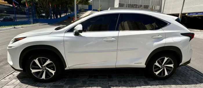 Lexus NX-300 H Luxury 2.5 16V Aut. 2019