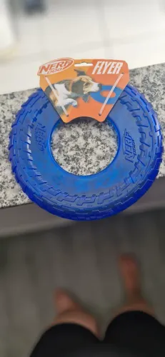 Nerf dog novo