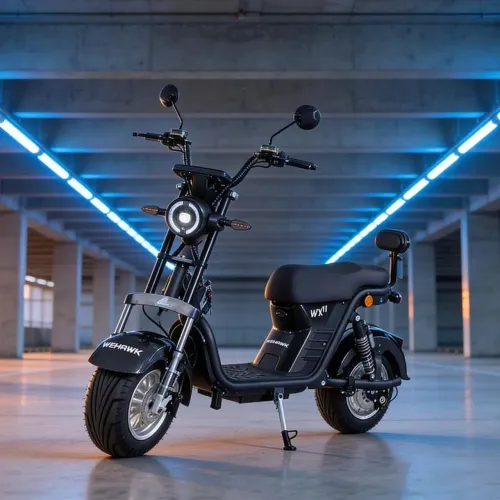 Moto Eletrica WX11 1000W