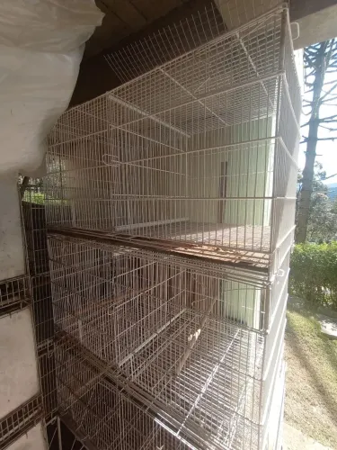 Gaiolas voadeiras epóxi 