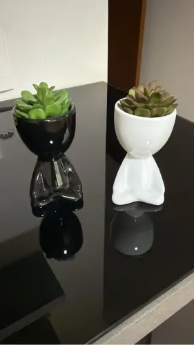 Enfeite casal com suculenta artificial