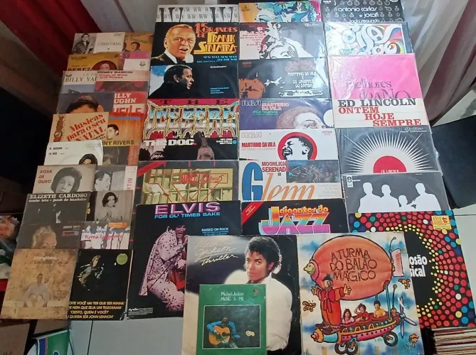 Lote Coleção de Discos de Vinil - Mais de 230 LPs e Compactos (Variados)