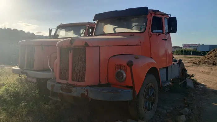 Scania jacaré