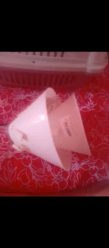 Colar elizabetano n1e N2 