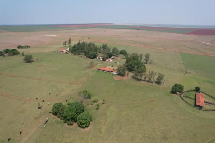 EXCELENTE FAZENDA EM CANA A VENDA NA REGIÃO DE PRESIDENTE PRUDENTE - SP ?? Área Total: 393