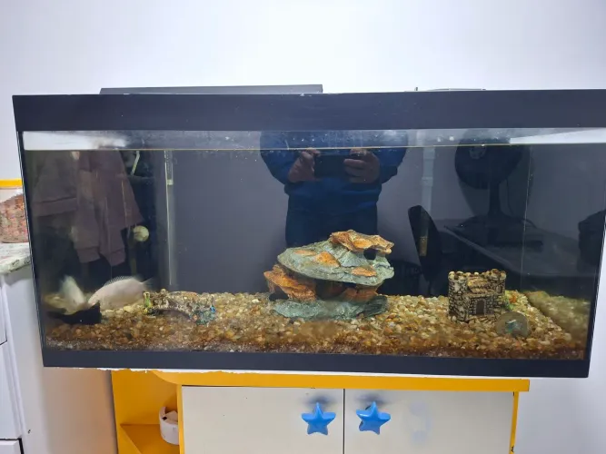 Aquário completo 200 litros