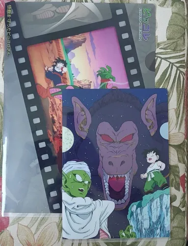 Pasta Plástica para Arquivos Dragonball