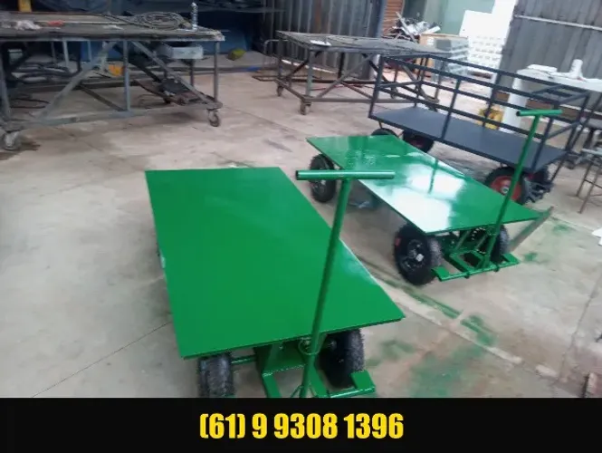 Carro Plataforma profissional 1,50x0,80m - 400kg