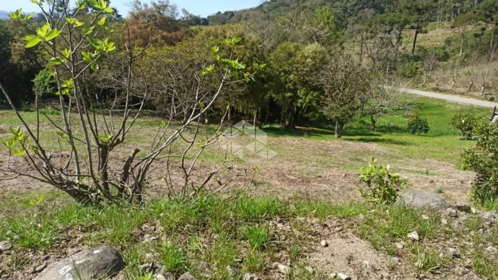 Terreno no vale dos vinhedos com 3.970m²