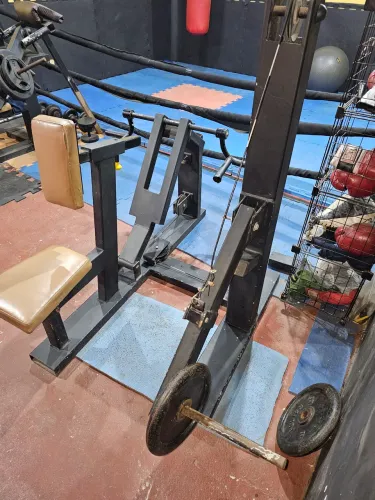 Maquina de treino Costas, equipamento Academia musculação 