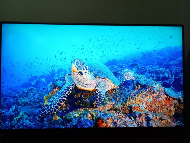 TV LG 49" Full HD LED 49LB6200 - Excelente Estado ?