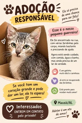 Gatinha linda pr adoção