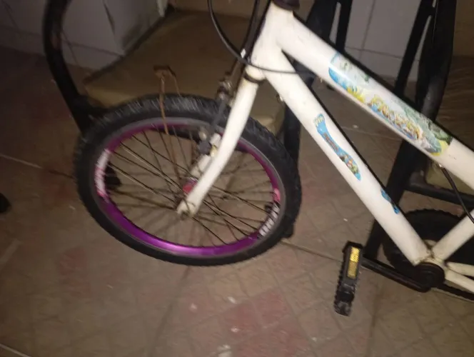 Bicicleta infantil aro 20