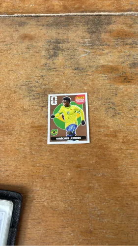 Vini jr bronze