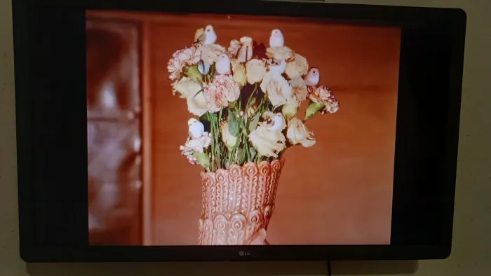 Vendo Tv