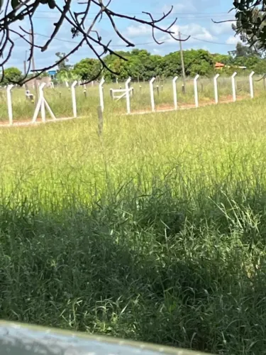 VENDO CHACÁRAS