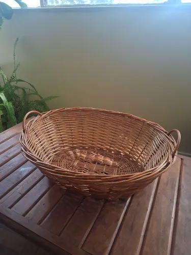 Cesta