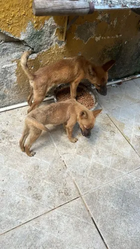 Doação Consciente