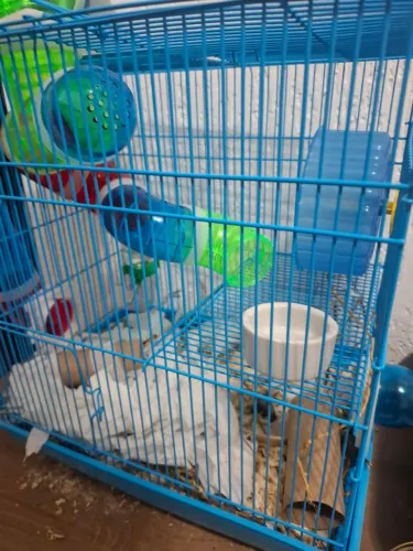 Gaiola de hamster