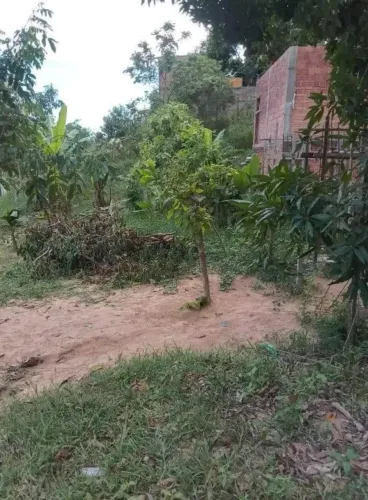 Terreno