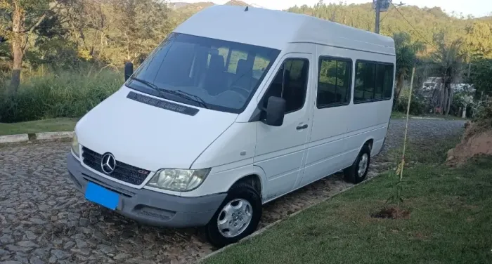 Mercedes-Benz Sprinter 313 Van Street Std. 16l. Dies. 2009
