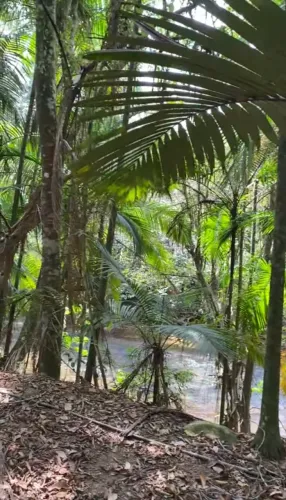 Terreno 1.700m2 com Riacho documentado em Área de Expansão Turística - Barra do Turvo