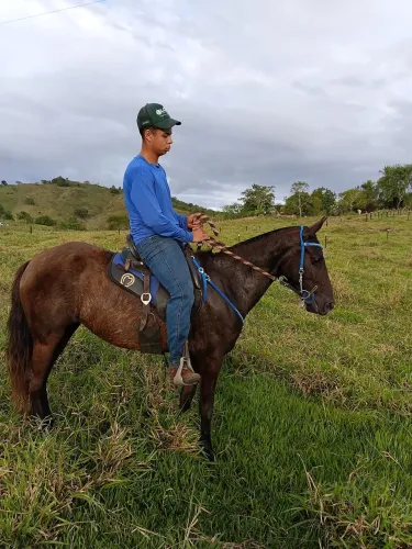 Vendo Eguinha Preta de Picado