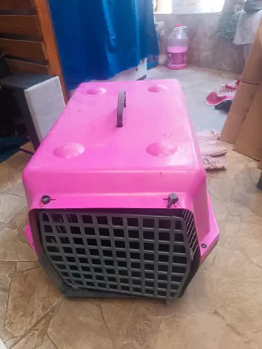 Caixa de transporte PET